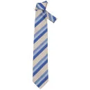 Gianfranco Ferre Men's Designer Silk Tie - Blue Image 1