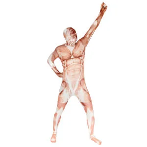Morphsuits Premium - Muscle - M - Muscle Image 1
