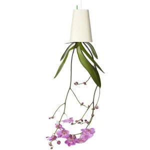 Sky Planter: Upside Down Indoor Plant Pot - White Image 1