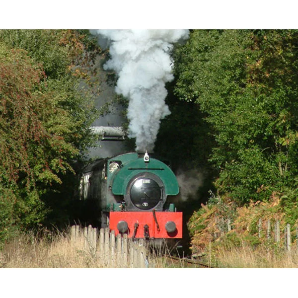 Introductory Steam Train Driving Experience in Yorkshire One Hour Image 1