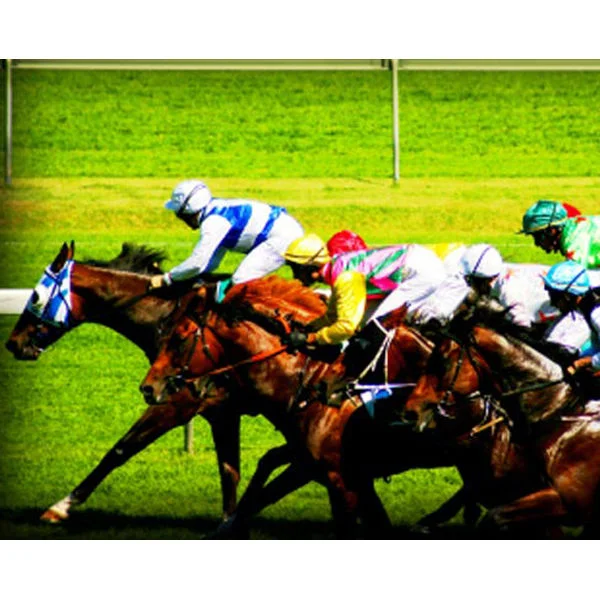 Classic Day at the Races for Two Image 1