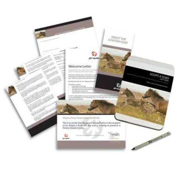 Adopt a Pony Gift Box Image 1