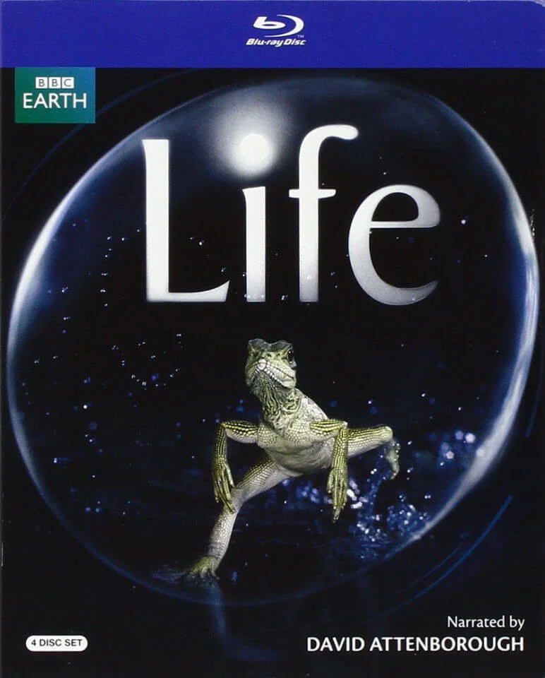 Life Image 1
