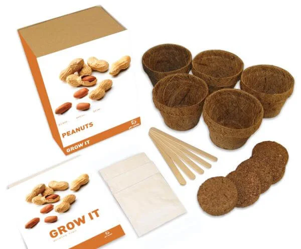 Grow It Peanuts Gift Box Image 1