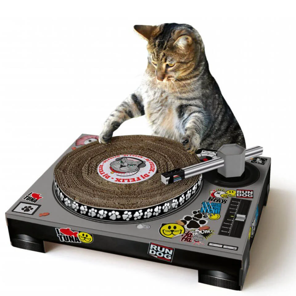 CAT SCRATCH TURNTABLE Image 1
