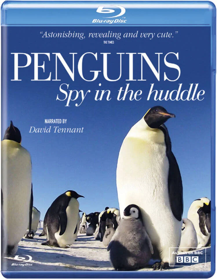 Penguin Spy in the Huddle Image 1