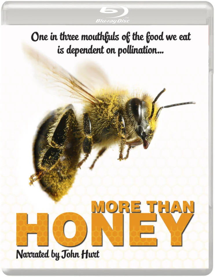 More Than Honey Image 1
