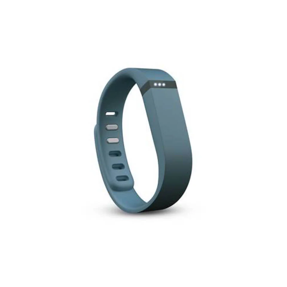 Fitbit Flex - Slate Image 1