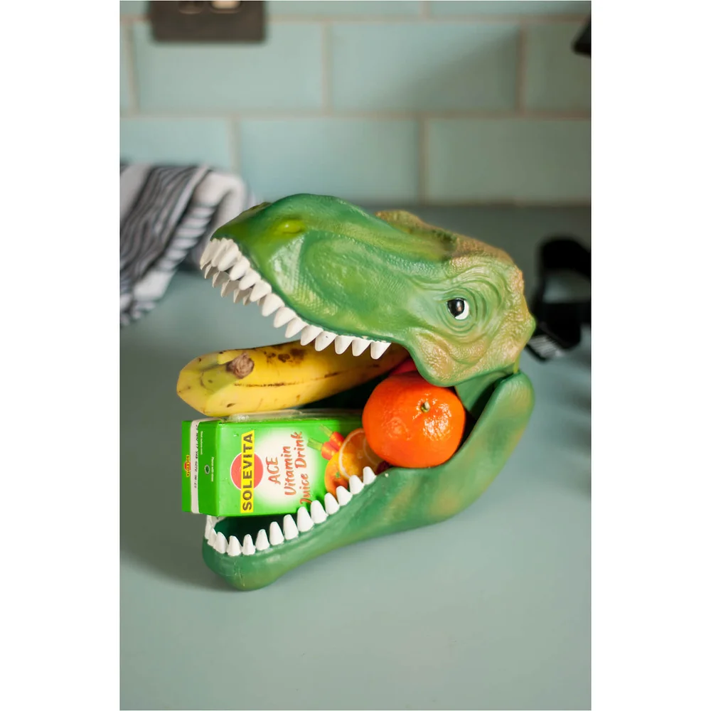 DINOSAUR LUNCH BOX Image 1