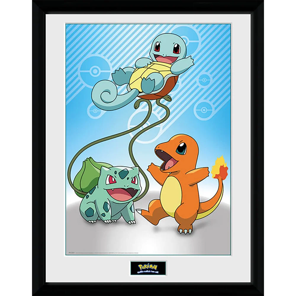 Pokémon Kanto Starters - 16 x 12 Inches Framed Photograph Image 1