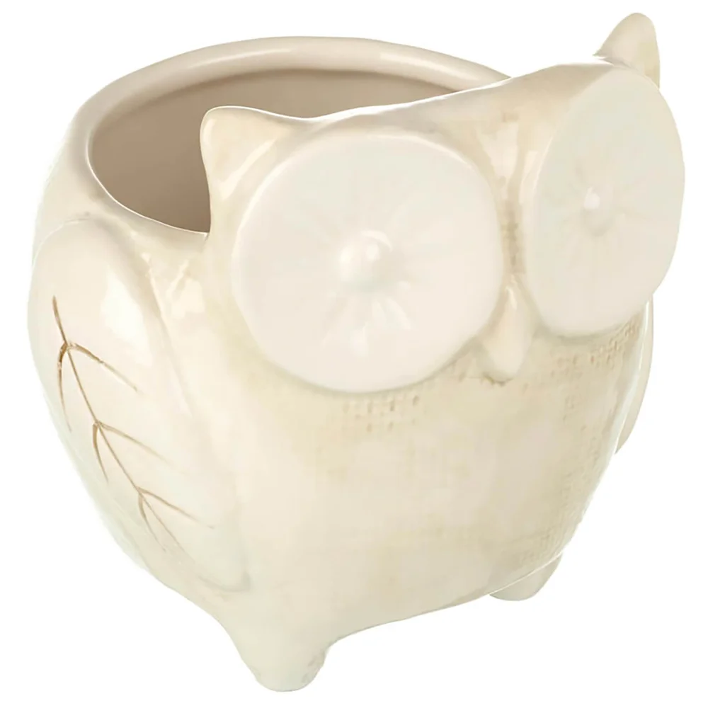 Parlane Plant Pot (12 x 12cm) - Owl Image 1