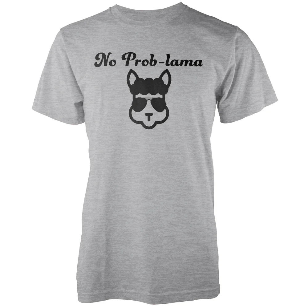 No Prob-Lama Grey T-Shirt - S - Grey Image 1