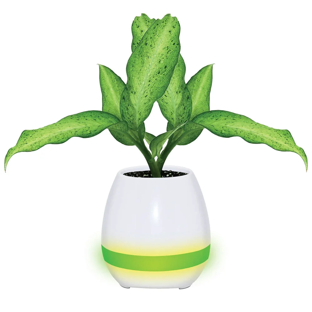 Mayhem Auora Piano Pot Bluetooth Speaker - Blue Image 1