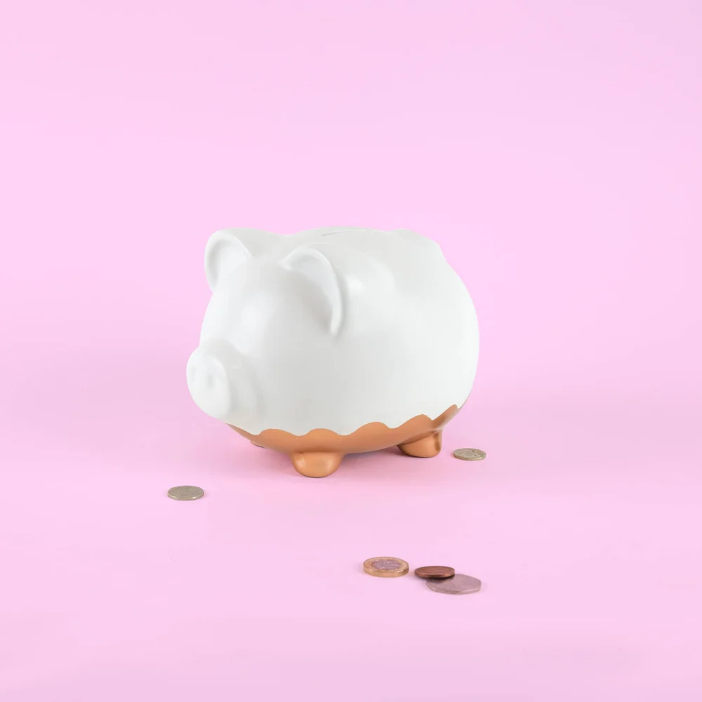 XL Rose Gold Piggy Bank Image 1
