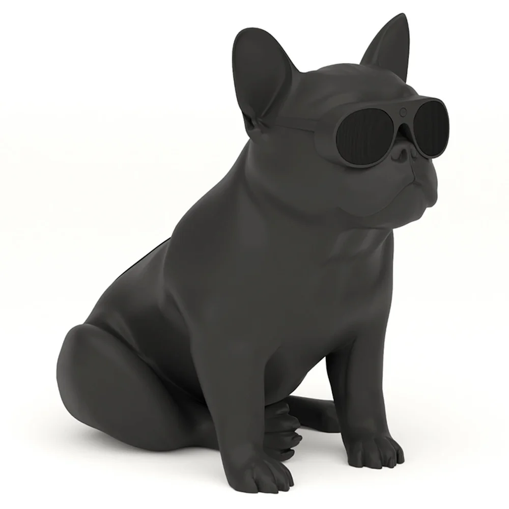 Jarre AeroBull XS1 Bluetooth Speakers - Matte Black Image 1