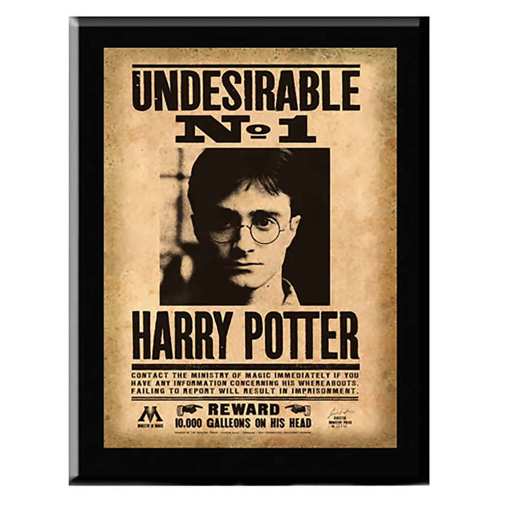 Harry Potter Harry Potter Undesirable No. 1 Plaque Image 1