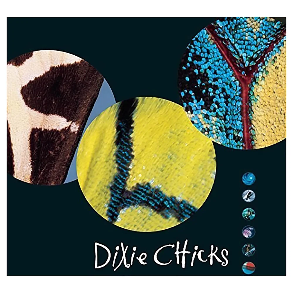 Dixie Chicks - Fly - Vinyl Image 1