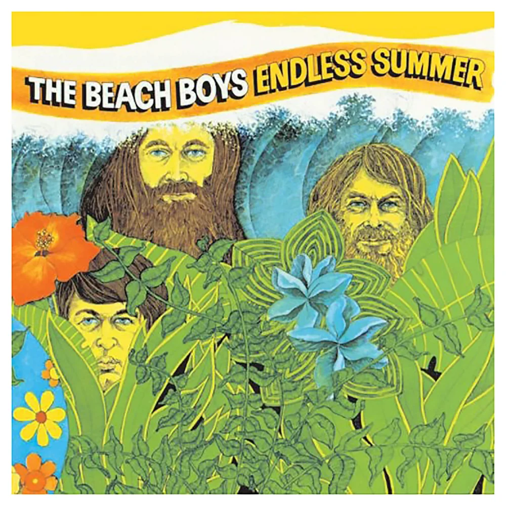 Beach Boys - Endless Summer - Vinyl Image 1