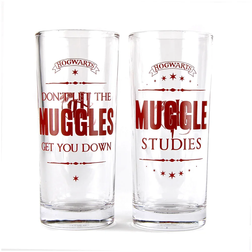 Harry Potter Glasses Set (Muggles) Image 1