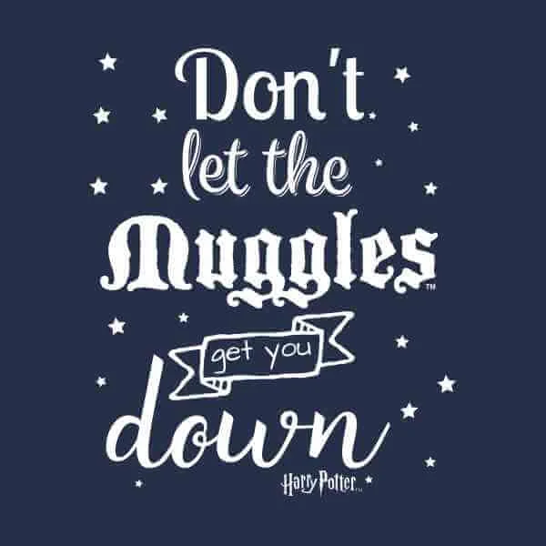 Harry Potter Don't Let The Muggles Get You Down Men's T-Shirt - Navy