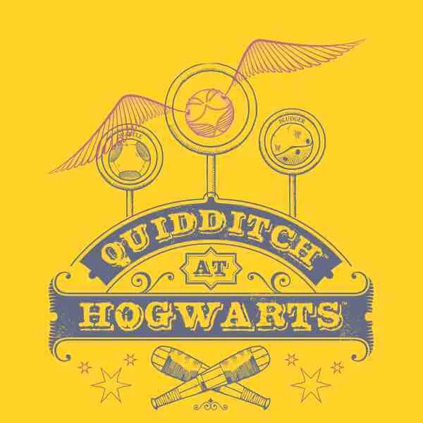 Harry Potter Quidditch At Hogwarts Men's T-Shirt - Yellow
