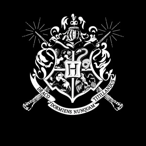 Harry Potter Hogwarts House Crest Women's T-Shirt - Black
