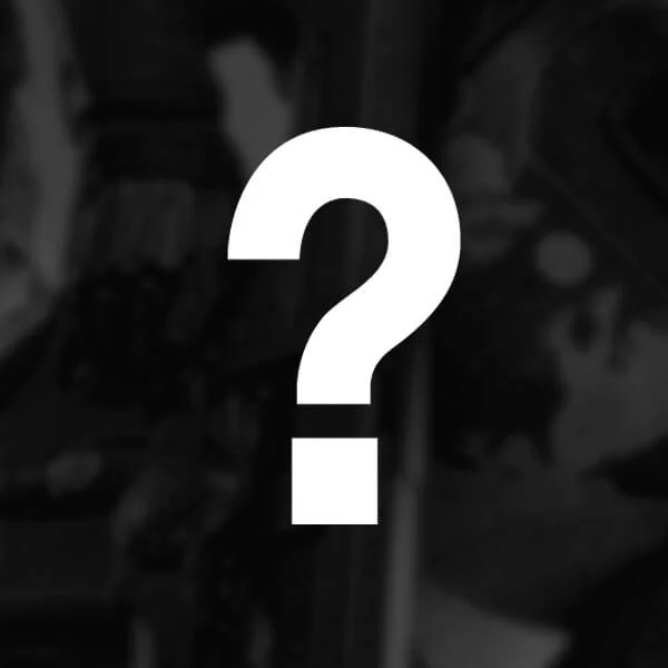 5 Mystery Prints Image 1