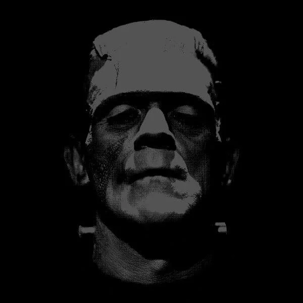 Universal Monsters Frankenstein Black and White Women's T-Shirt - Black