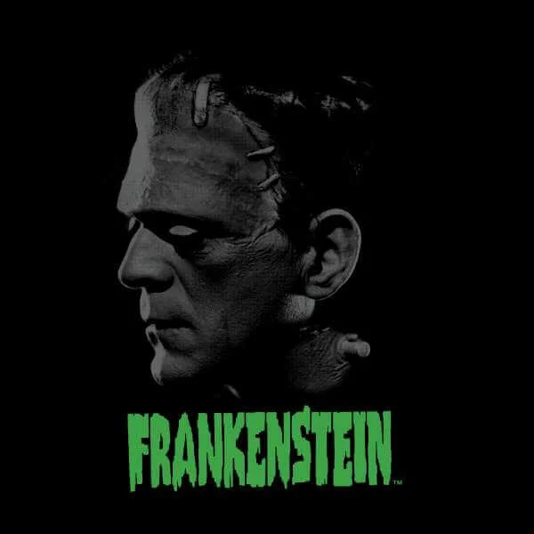 Universal Monsters Frankenstein Greyscale Sweatshirt - Black