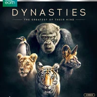 Dynasties - 4K Ultra HD