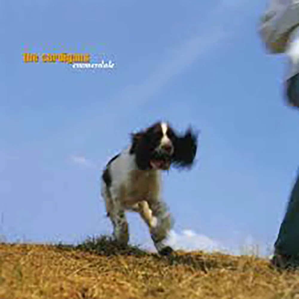 The Cardigans - Emmerdale Vinyl Image 1