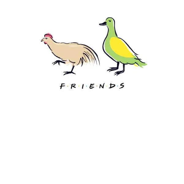 Friends The Chick And The Duck Sweatshirt - White