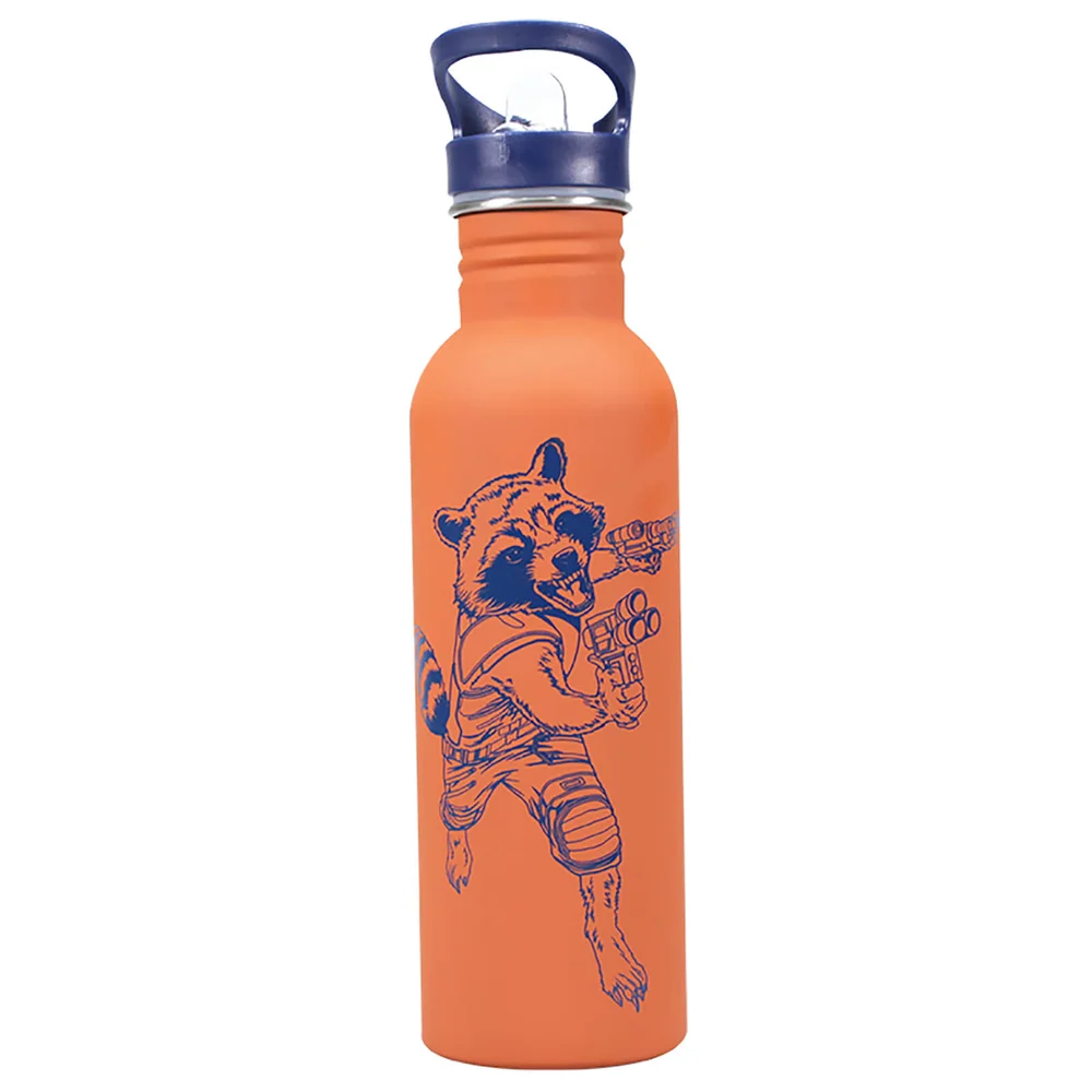 Marvel Guardians of the Galaxy Water Bottle - Rocket Image 1