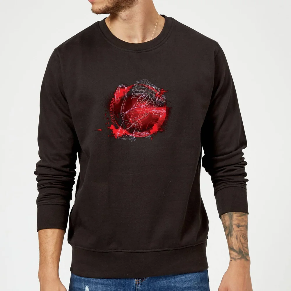 Harry Potter Gryffindor Geometric Sweatshirt - Black - S Image 1