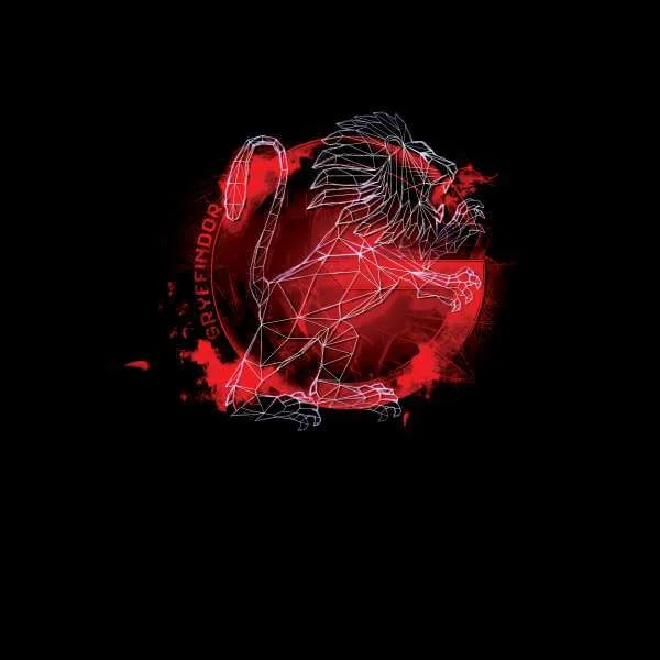 Harry Potter Gryffindor Geometric Sweatshirt - Black