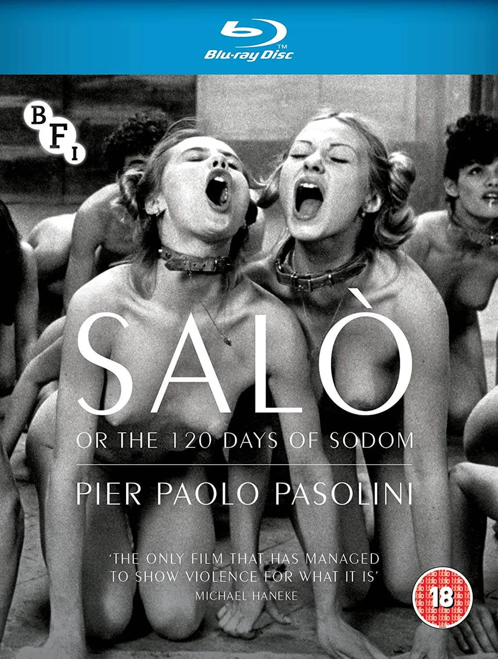 Salo, or the 120 Days of Sodom Image 1