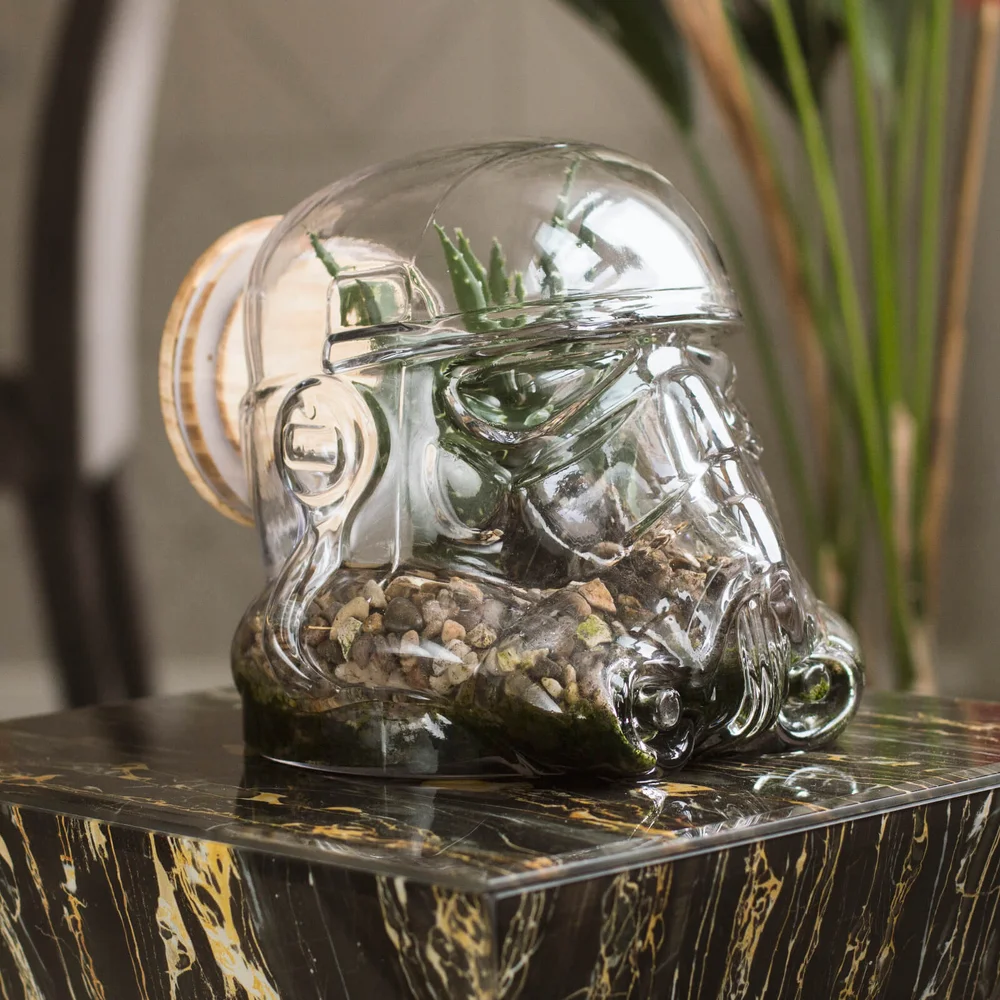 Original Stormtrooper Terrarium/Cookie Jar - Clear, based on the Original Stormtrooper Helmet design Image 1