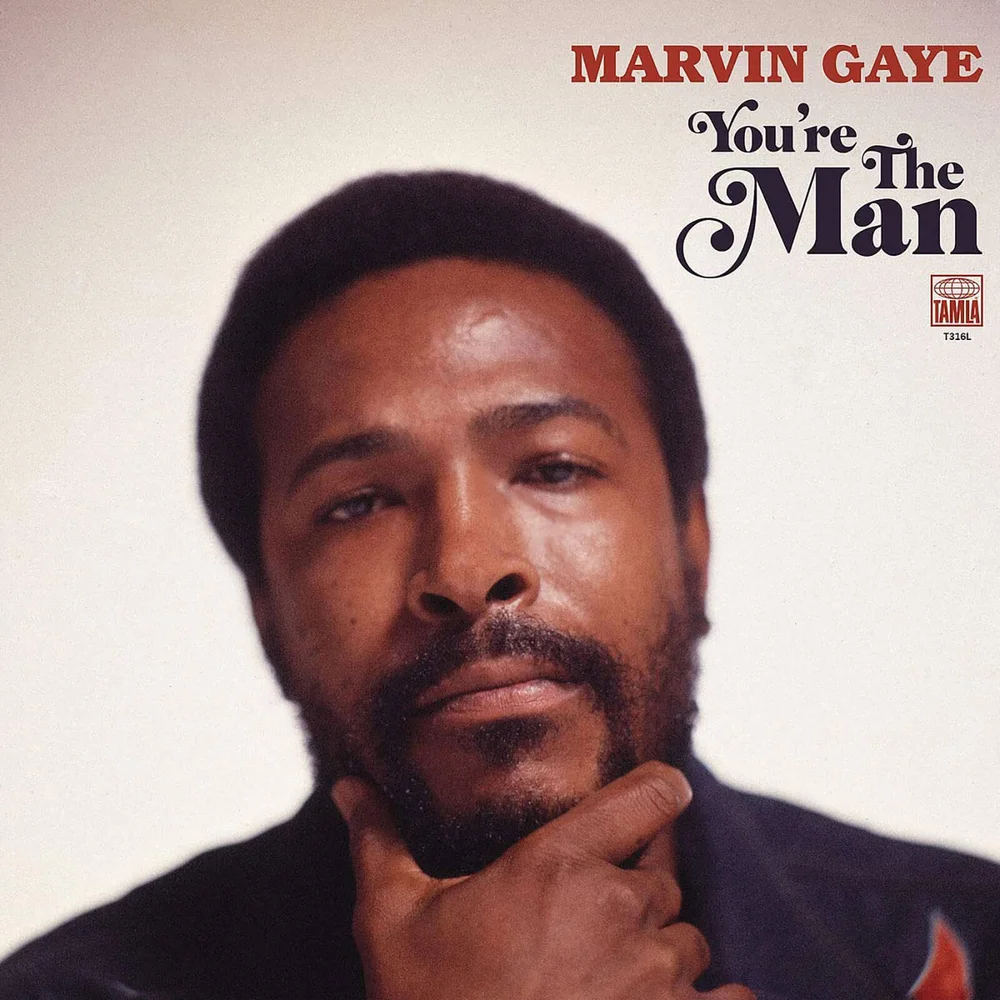 Marvin Gaye - You're The Man Vinyl 2LP Image 1