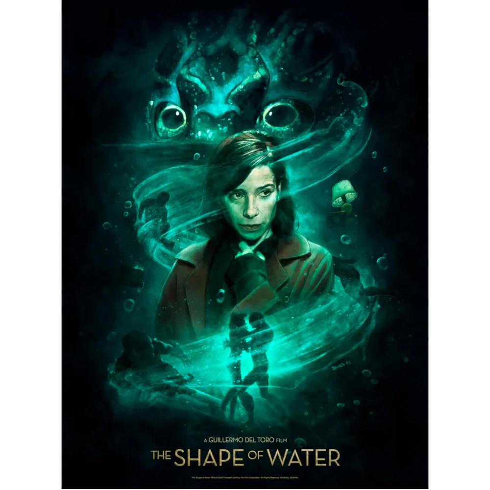Shape of Water 'The Way He Looks at me' Lithograph Print by Ignacio RC Image 1