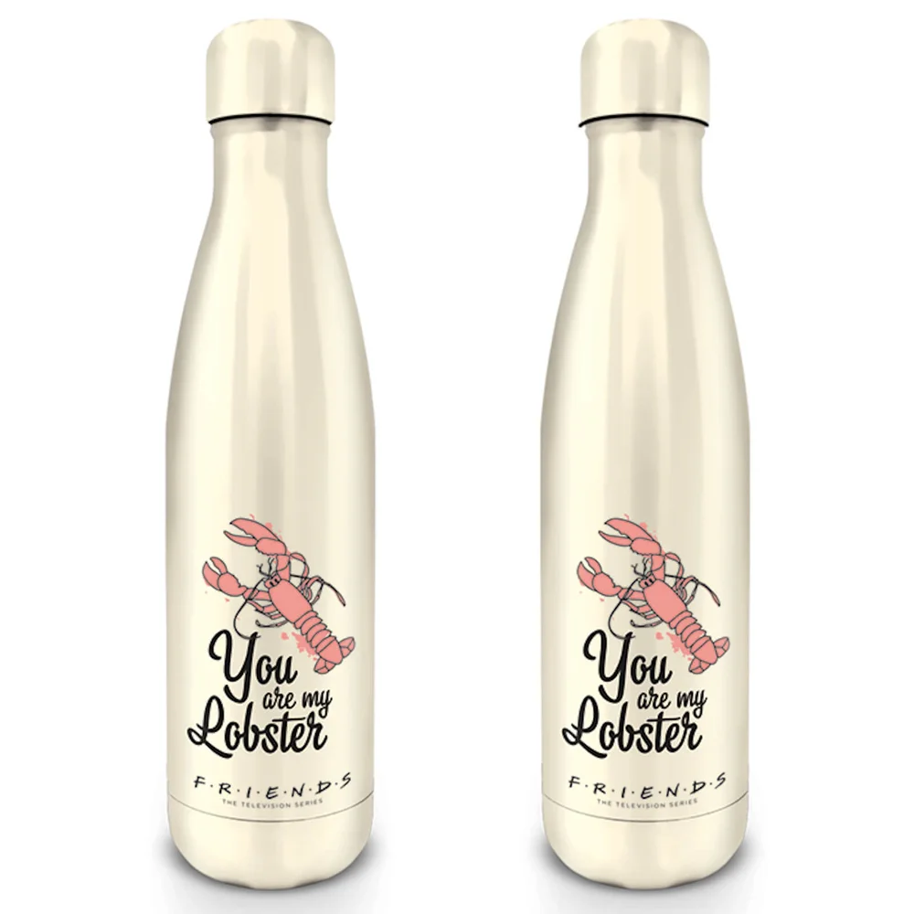 Friends (You Are My Lobster) Metal Drinks Bottle Image 1