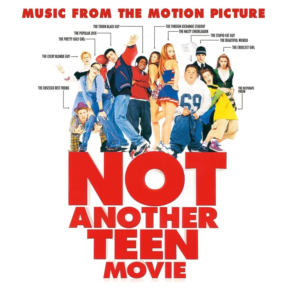 Enjoy The Ride - Not Another Teen Movie Vinyl Image 1