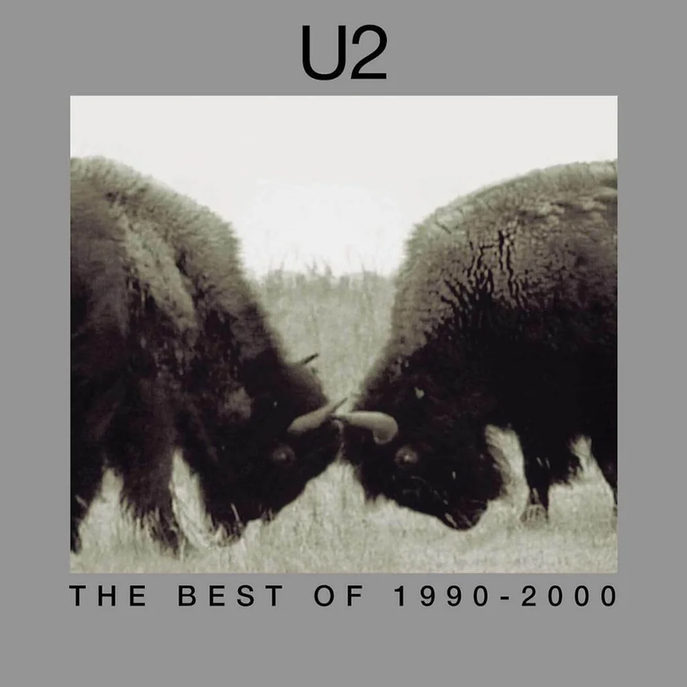 U2 - The Best Of 1990-2000 Vinyl 2LP Image 1