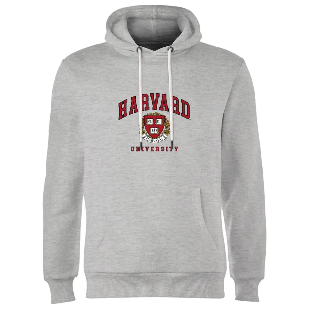 Harvard Hoodie - Grey - S Image 1