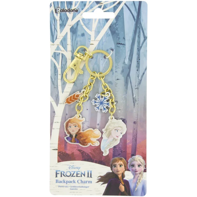 Frozen Key Charms