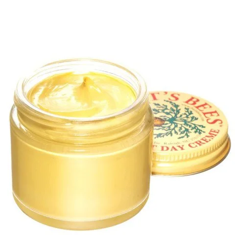Burt's Bees Carrot Nutritive Day Creme Image 1