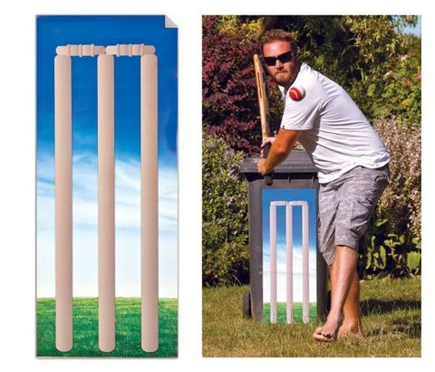 Cricket Wicket Stick-It Image 1