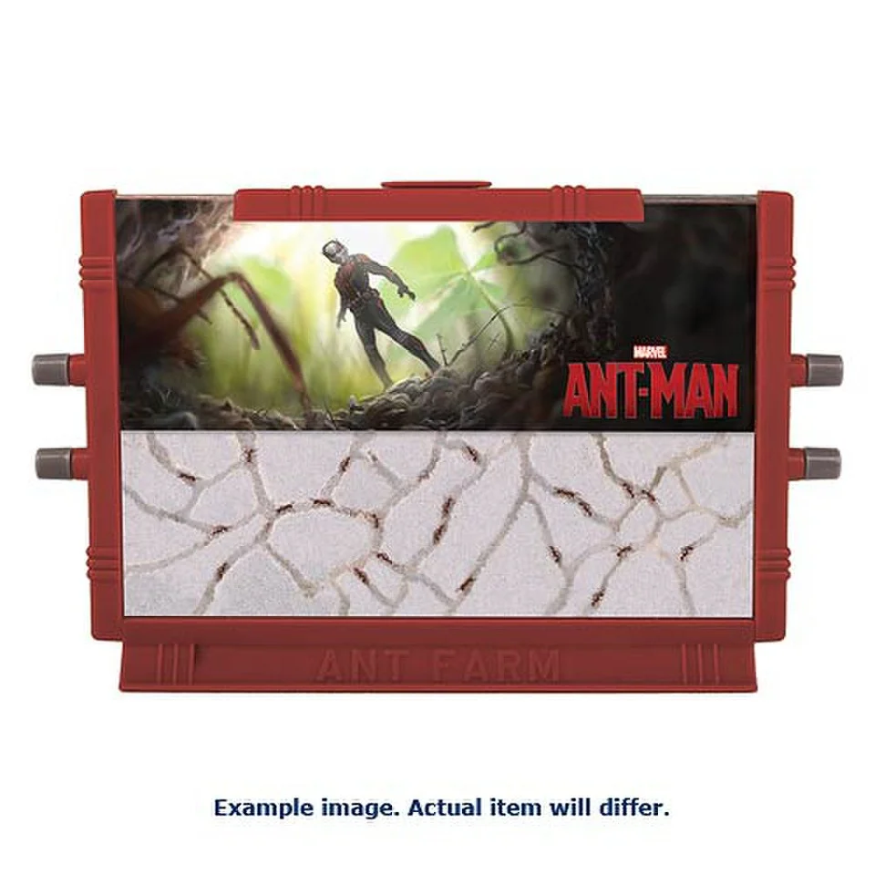Ant-Man Ant Farm - Marvel Image 1