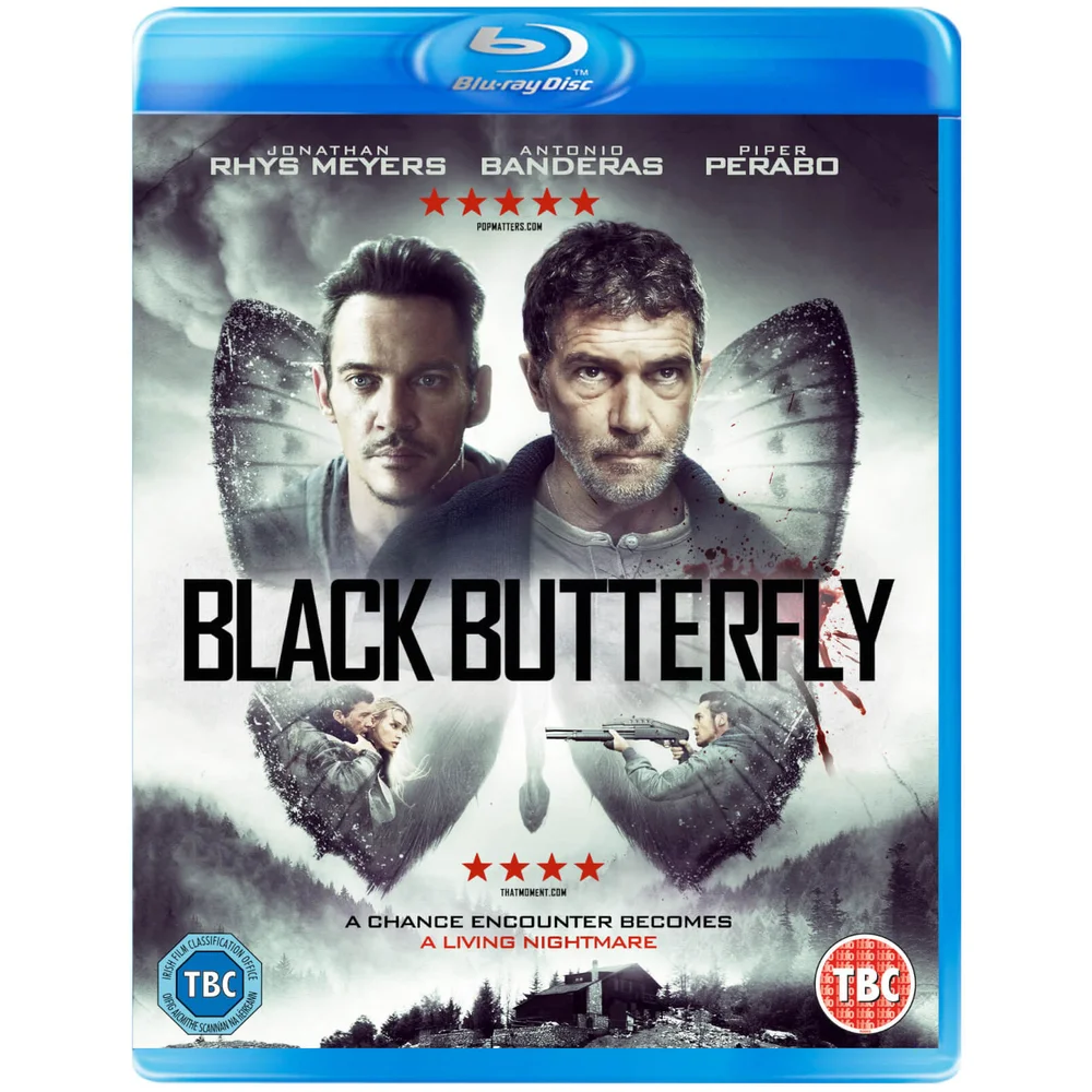 Black Butterfly Image 1