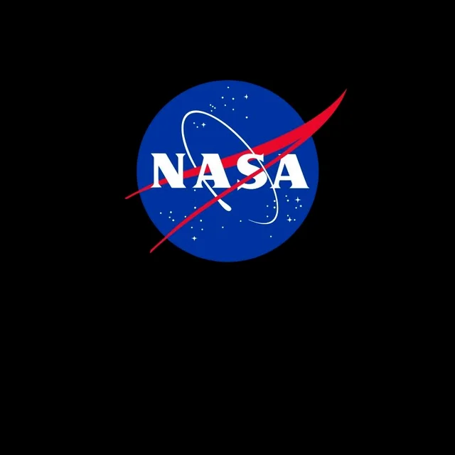 NASA Logo Insignia T-Shirt - Black