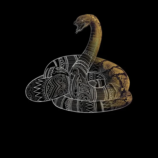 Fantastic Beasts Tribal Nagini Men's T-Shirt - Black